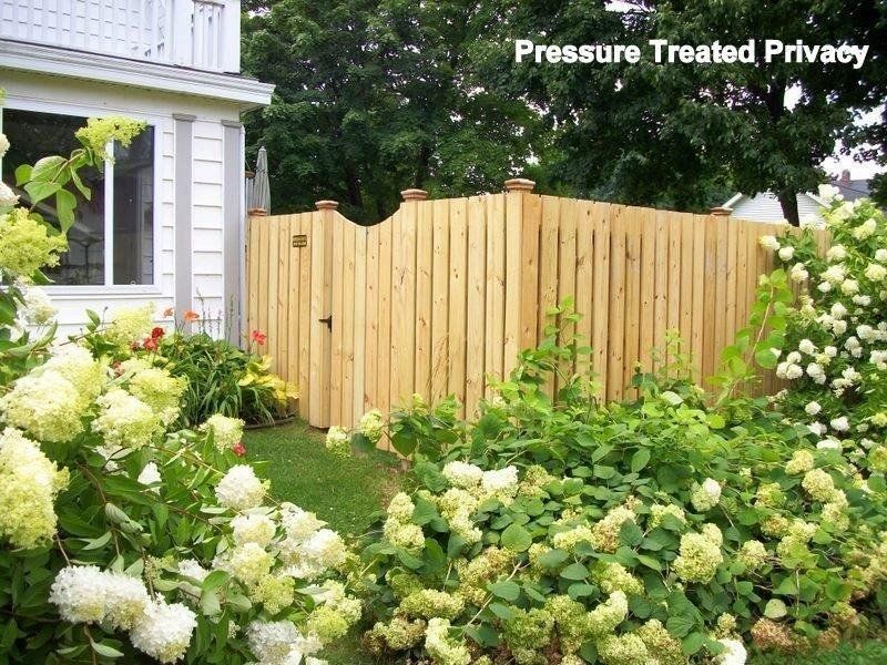 Pressure treated privacy fence