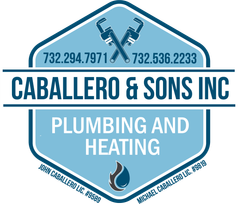 Caballero & Sons Inc logo