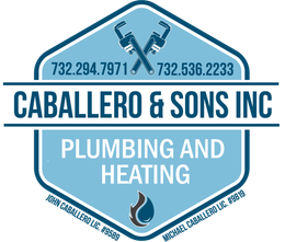 Caballero & Sons Inc Logo