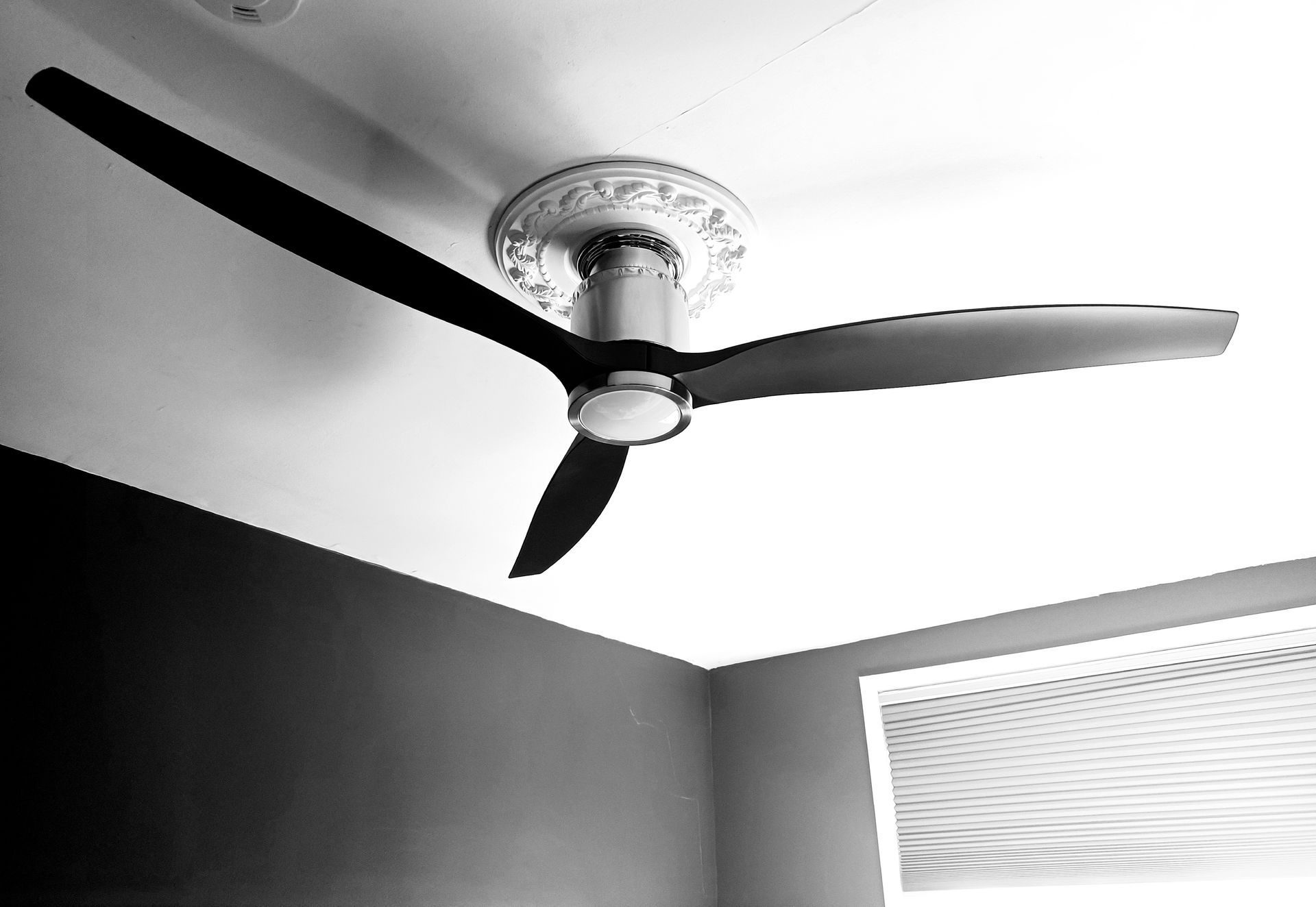 Black ceiling fan