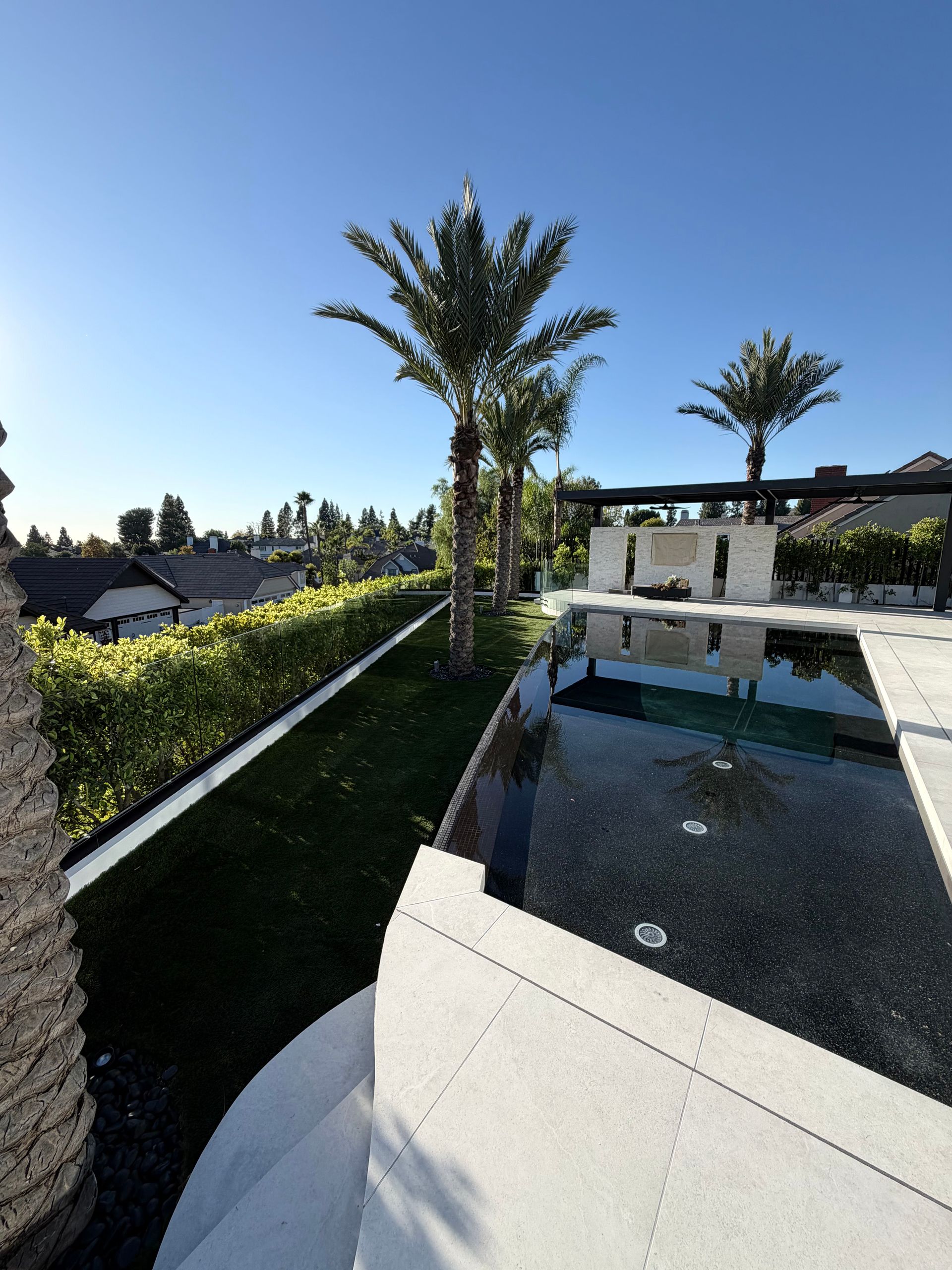 Poolside view with palm trees, green lawn, blue sky, and a glimpse of houses in the background.