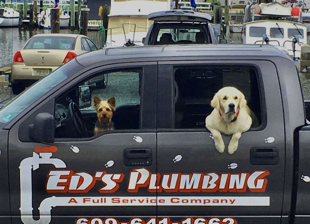 Ed's Plumbing, Inc. Truck