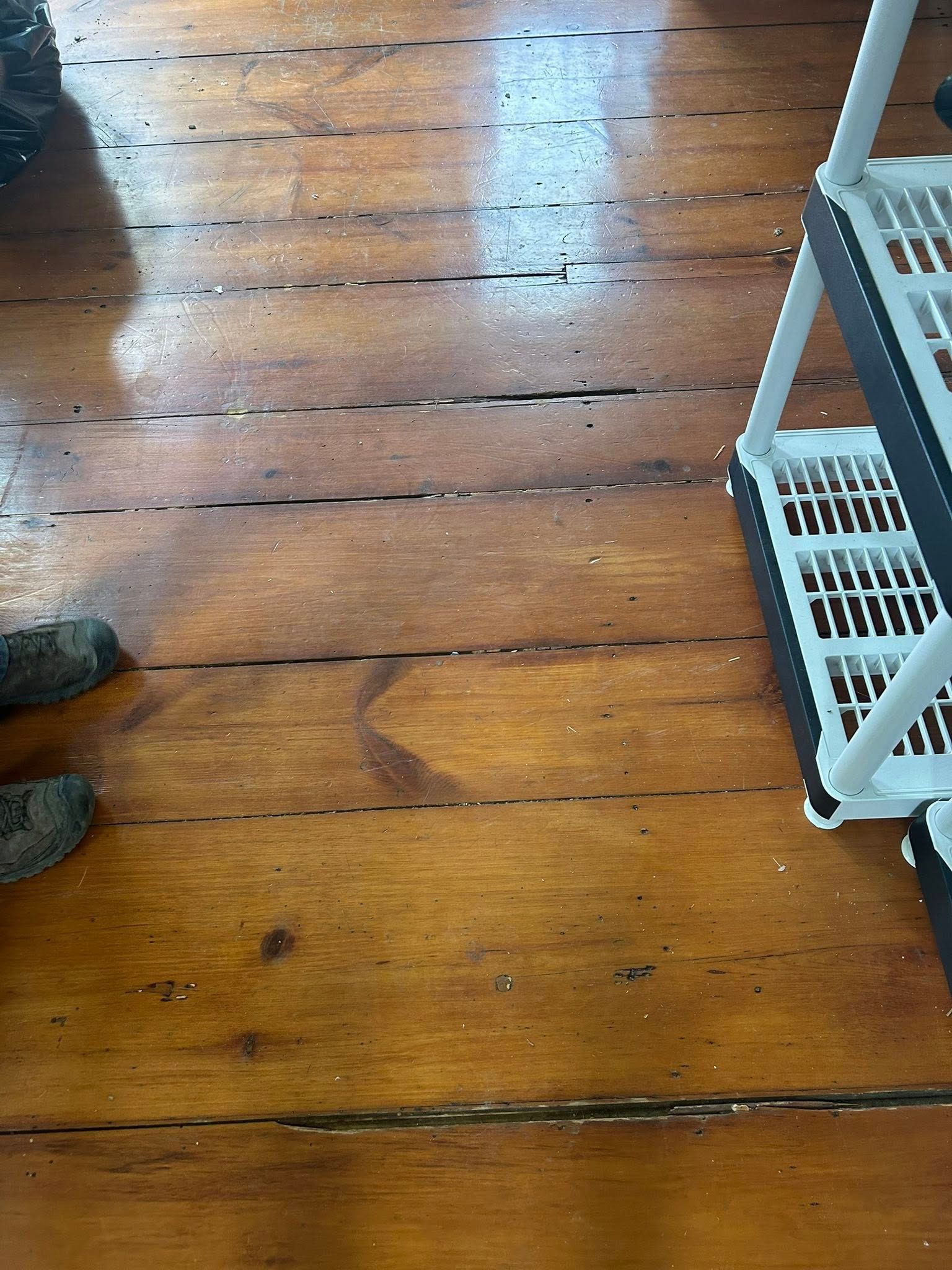 Wooden floorboards with a white shelf on the right and shoes at the lower left.