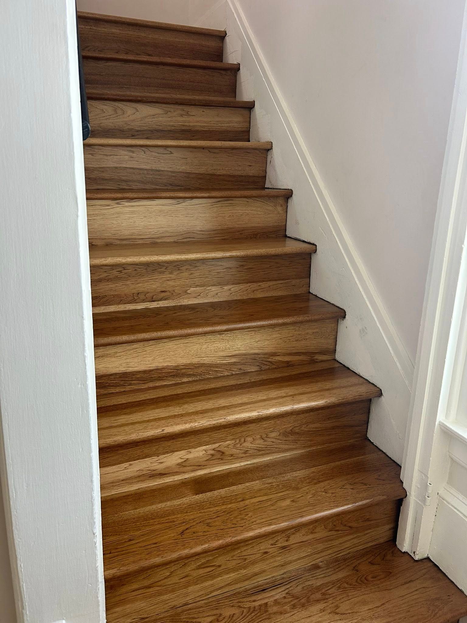 Carpeted indoor staircase with white walls and dark wood handrail