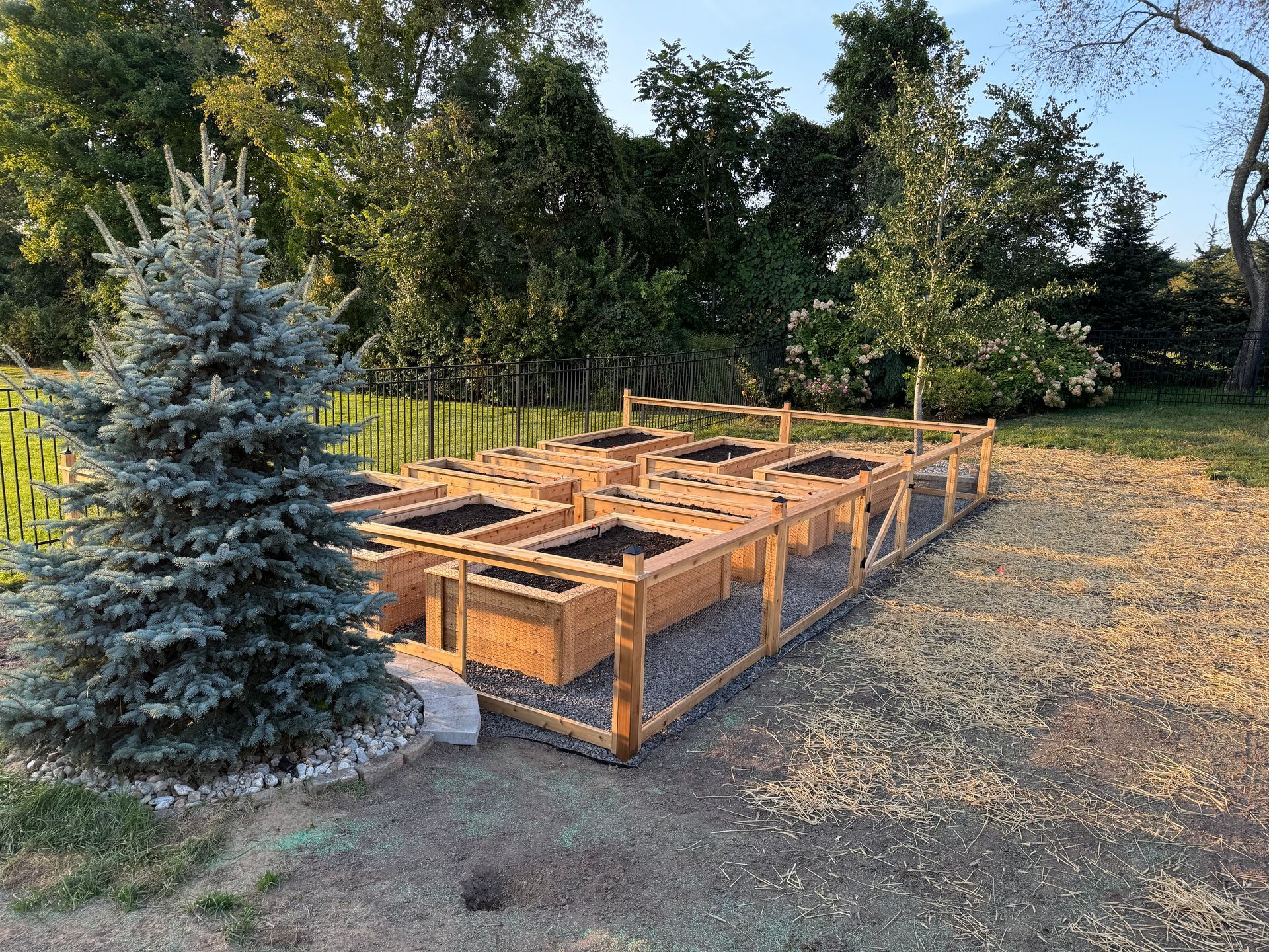 Raised garden beds with wooden frames, enclosed by a fence, in a backyard setting with trees.