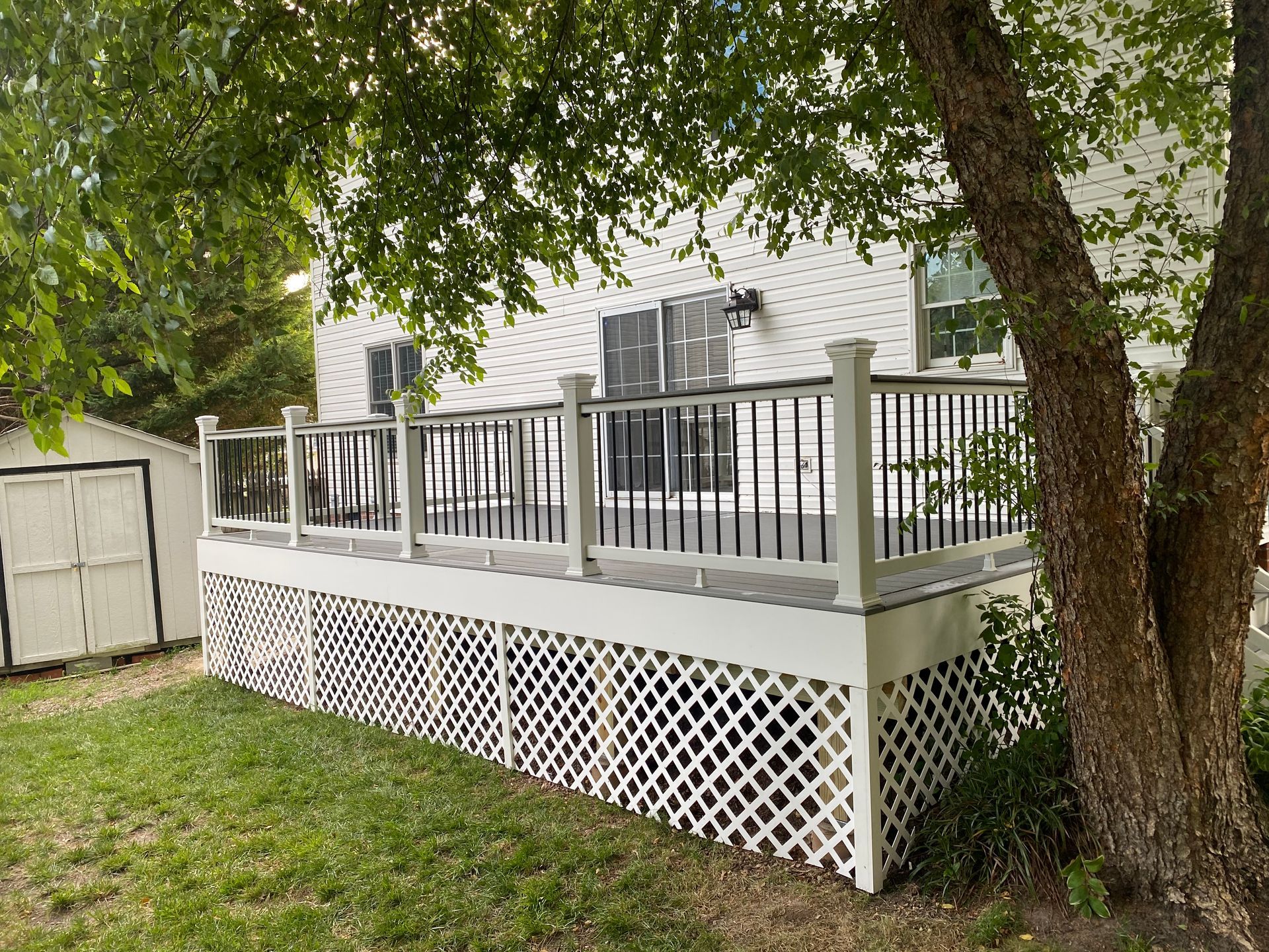 A backyard deck with white lattice skirting, black railings, and a tree on the right side.
