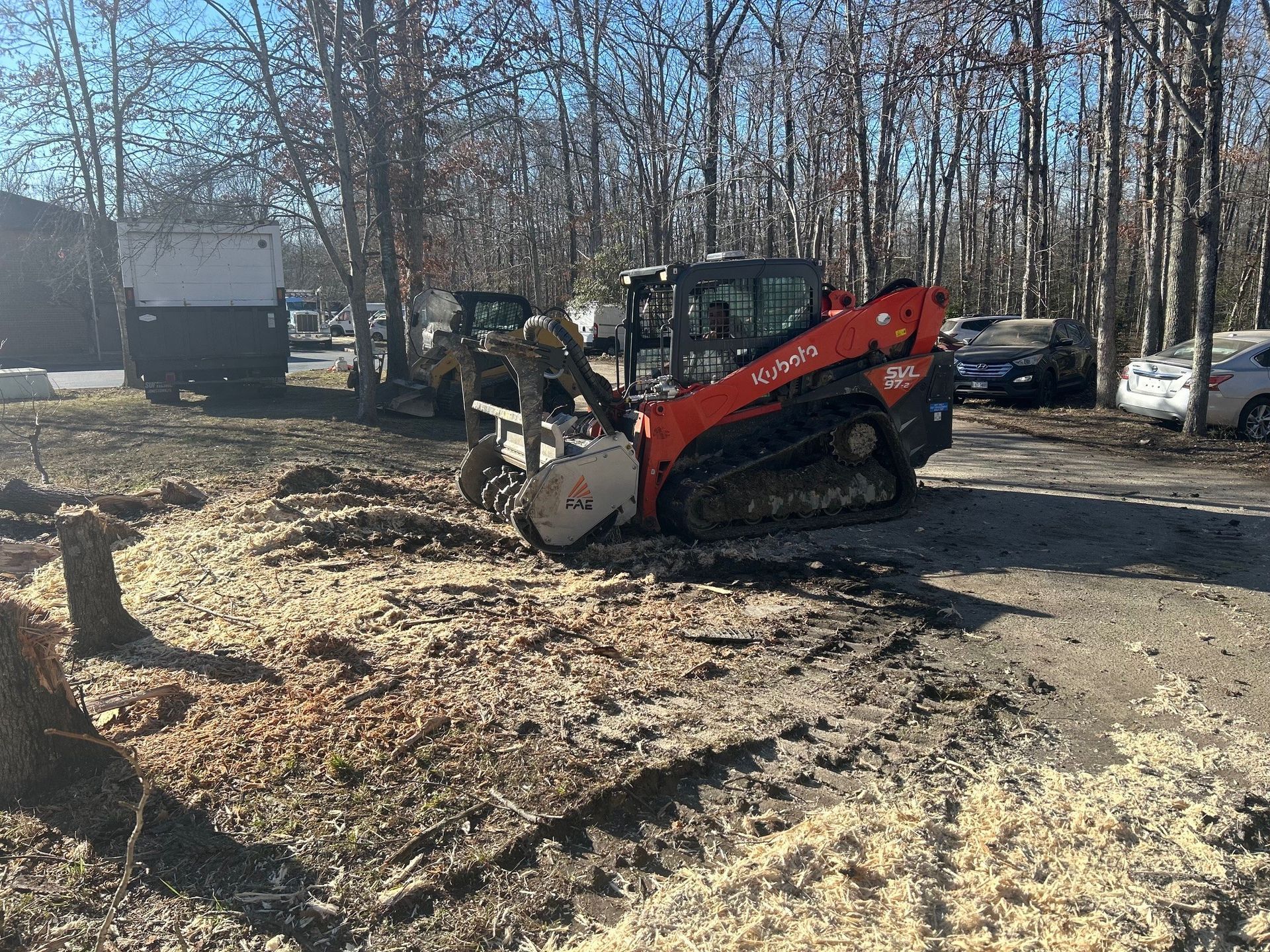 An orange, tracked skid steer with a stump grinder attachment works on tree stumps in a wooded outdoor area.