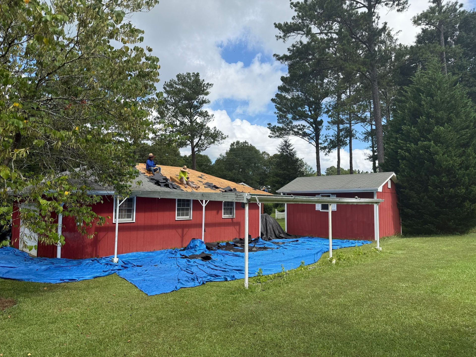 Red house with roof being replaced, blue tarp on lawn, shed in yard.