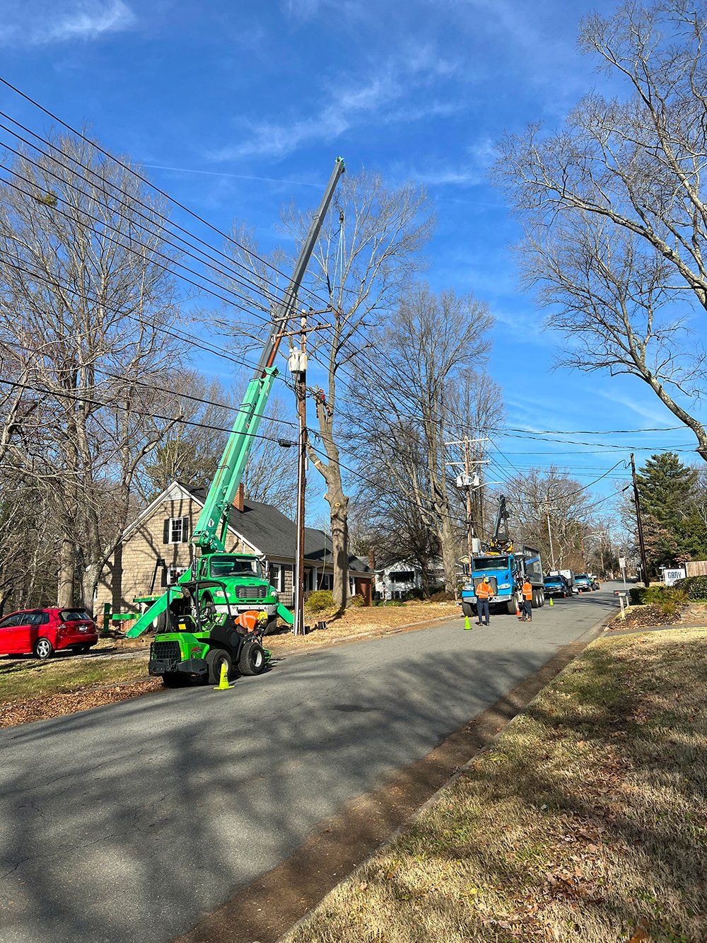 Best Killeen Tree Removal - Killeen, TX Tree Removal 76541