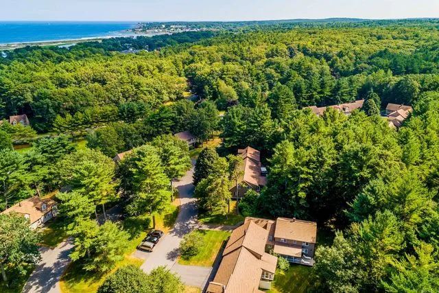 House with surrounding trees
