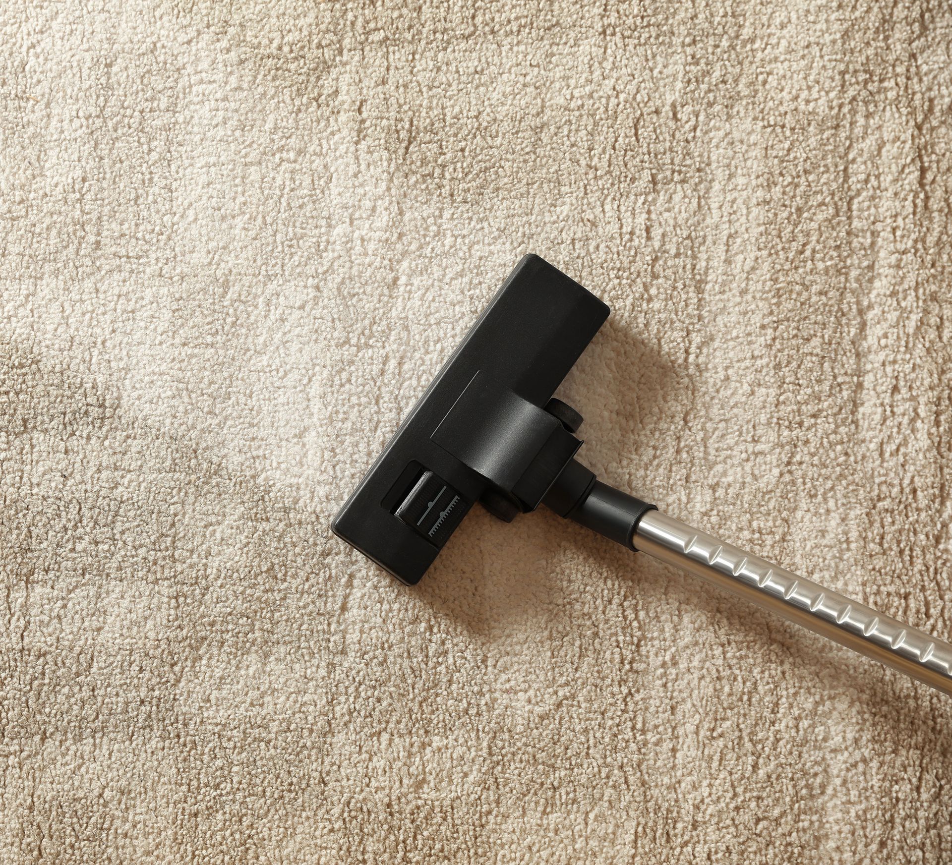 Vacuum cleaner head on tan carpet.