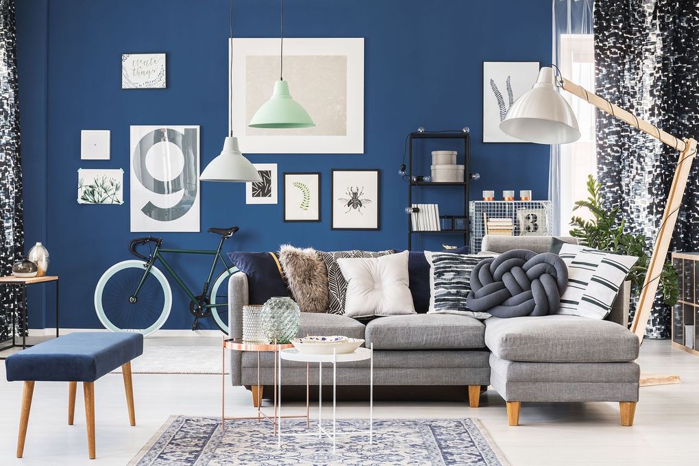 Living room with gray sectional sofa against a blue wall; artwork, bike, floor lamp, and patterned rug.