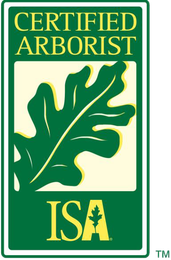 ISA arborist badge