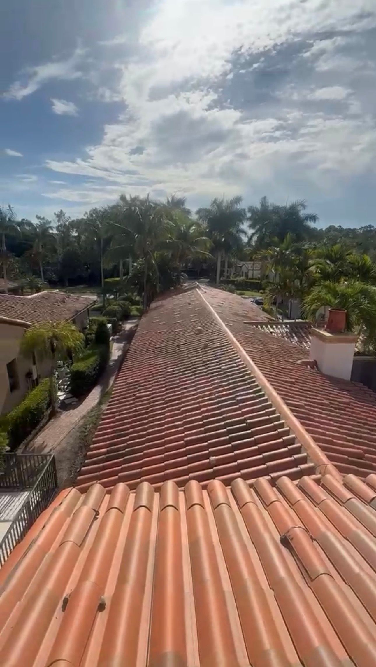 Rooftop with terracotta tiles overlooking lush trees under a bright, cloudy sky