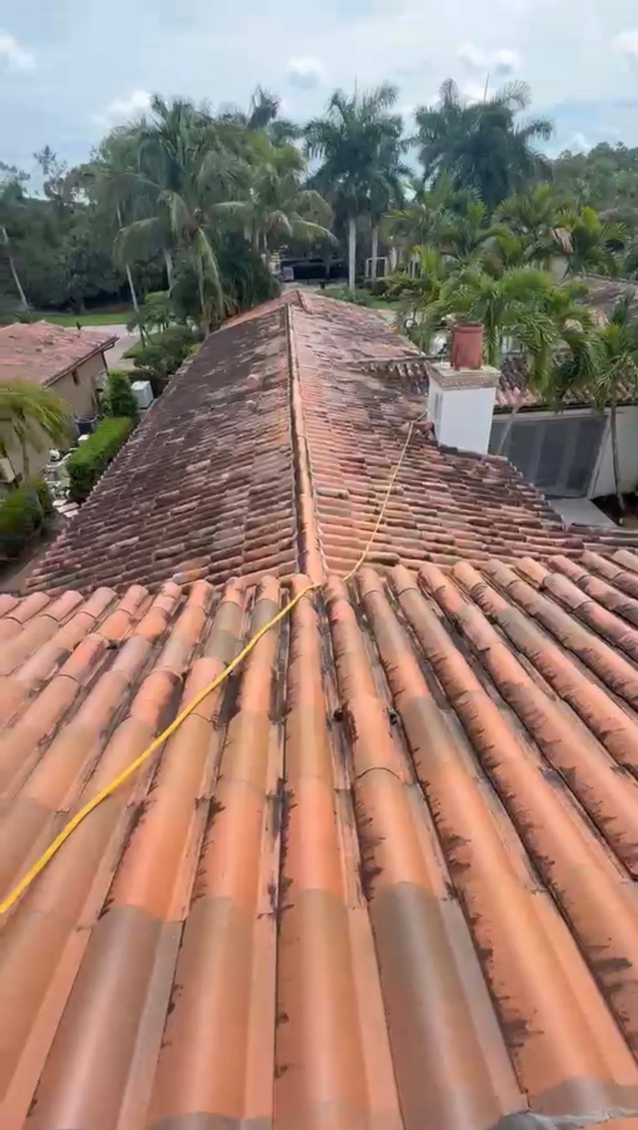 View down a terracotta-tiled roof toward tall palm trees and houses under a partly cloudy sky