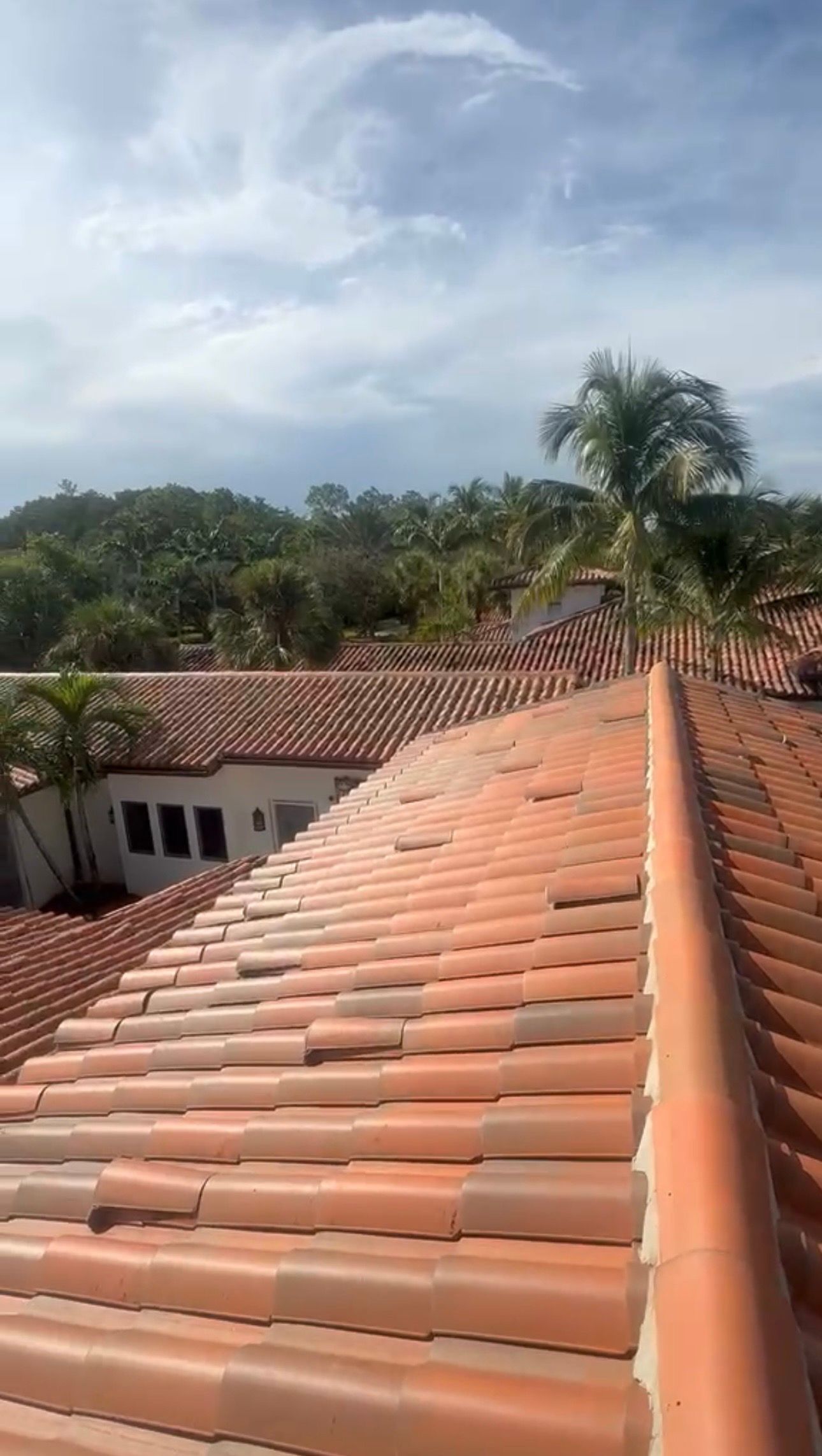Tile roof with a view of trees and a cloudy sky beyond the rooftop ridge