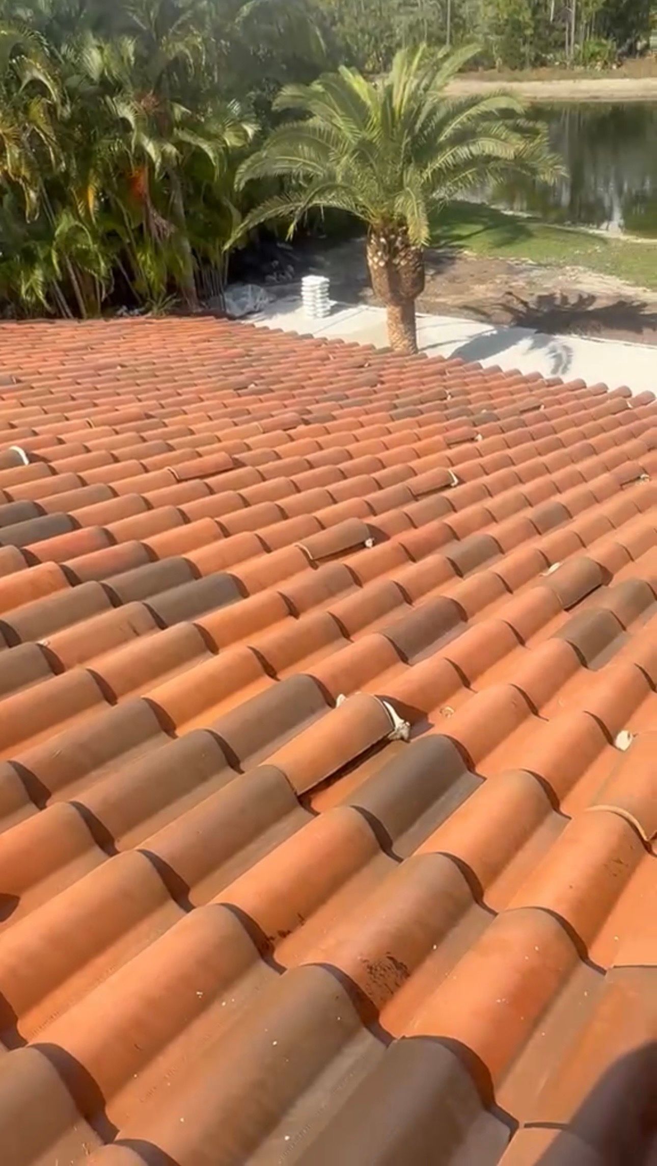 Terracotta tile roof in foreground with palm trees and a pool in the background