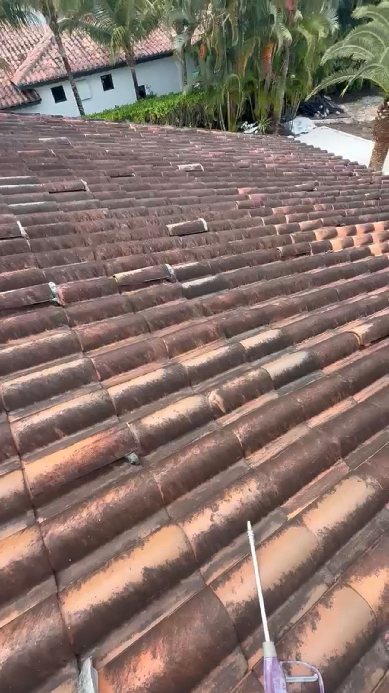 Terracotta tile roof with a rope across it, overlooking palm trees and a house in the distance