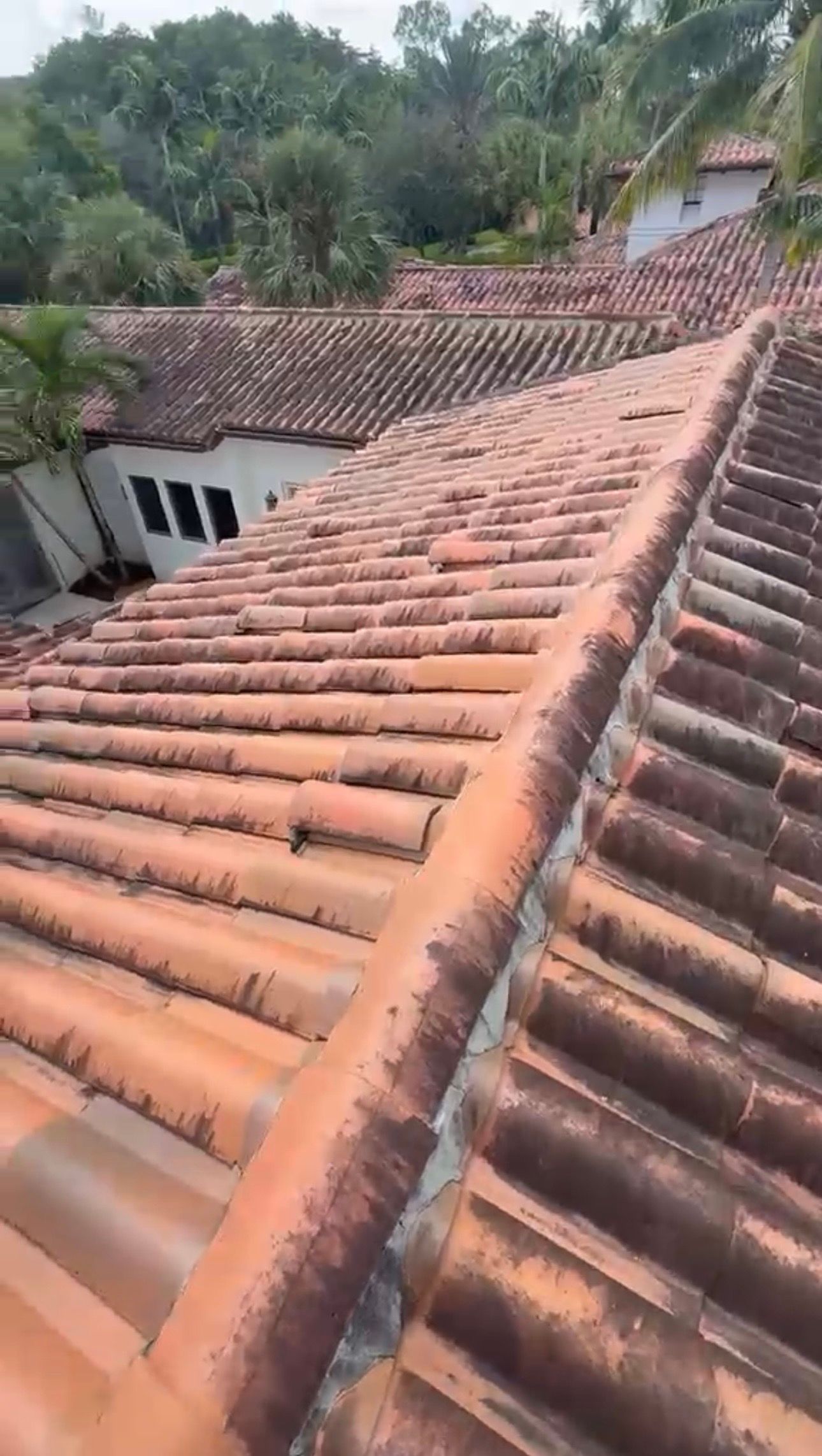 Rooftop view of terracotta tiles with neighboring roofs and trees in the background