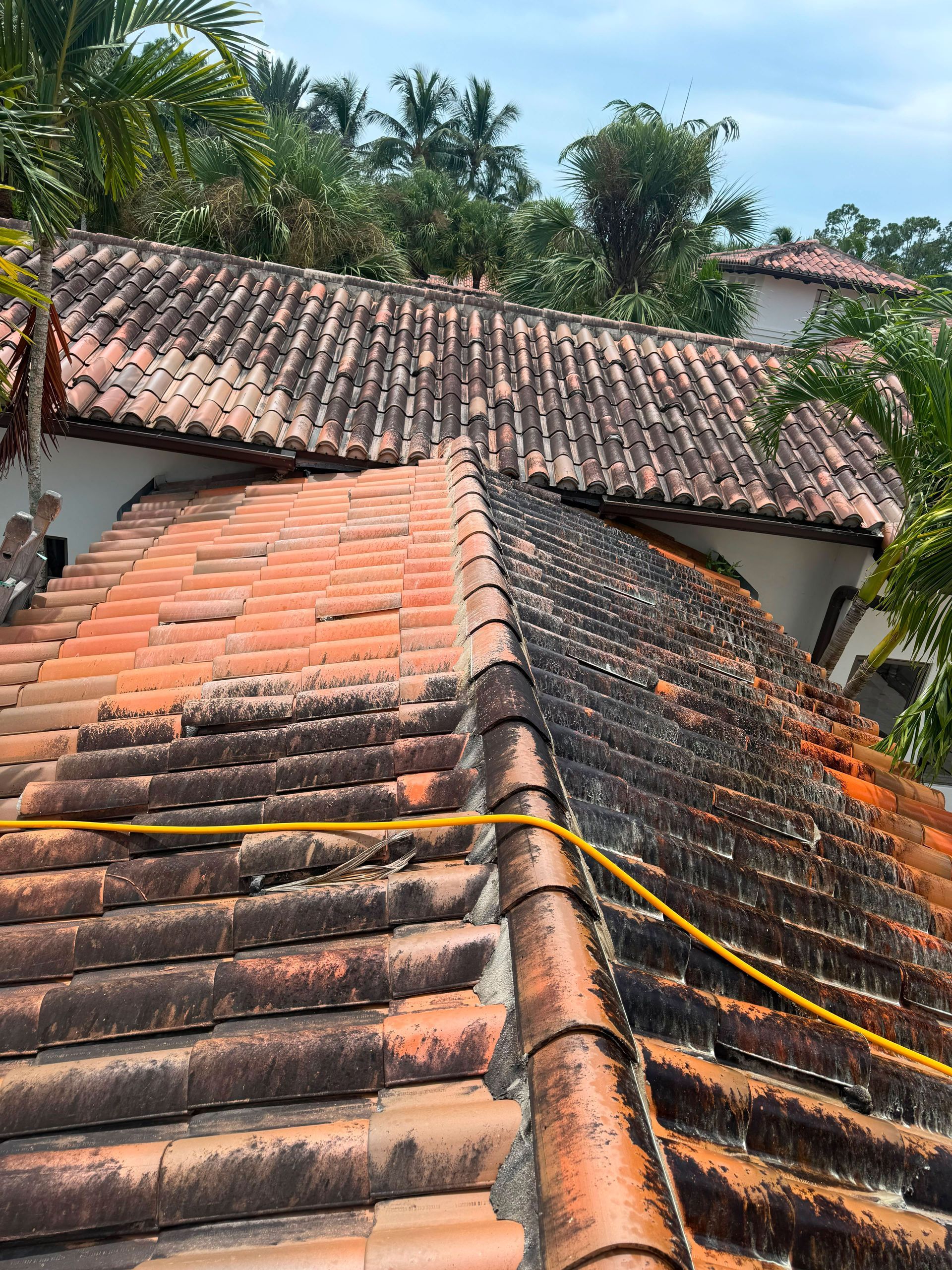 Weathered terracotta roof tiles with yellow rope, viewed above tropical trees and nearby rooftops