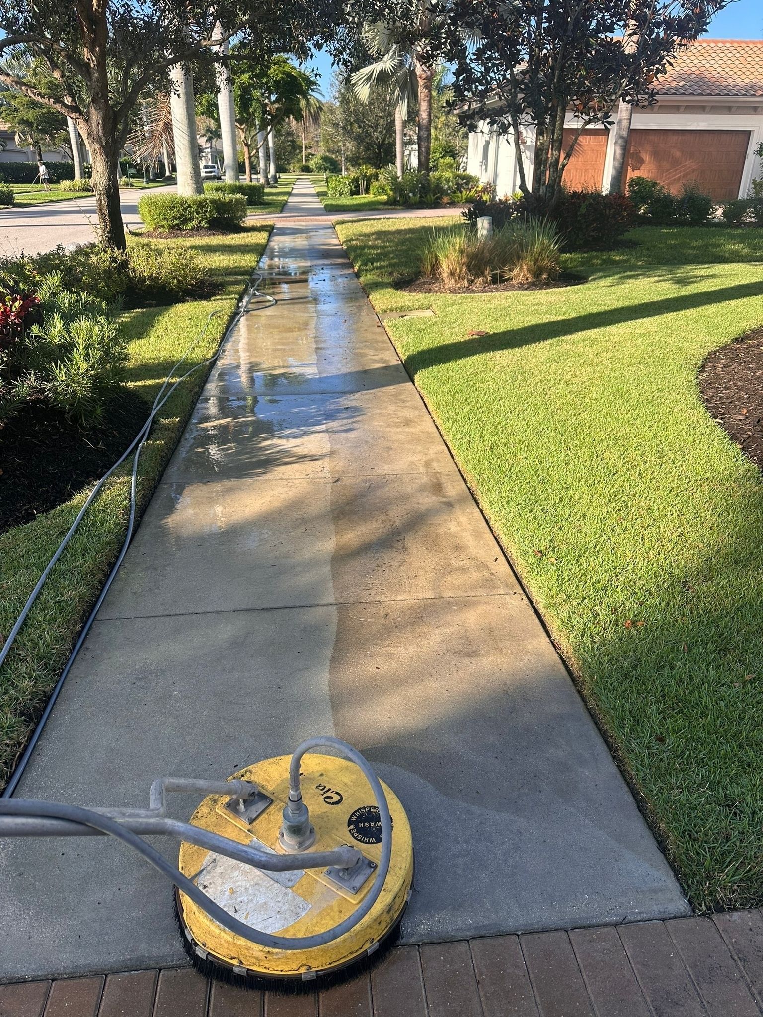 Concrete sidewalk being pressure-washed in a sunny residential garden path