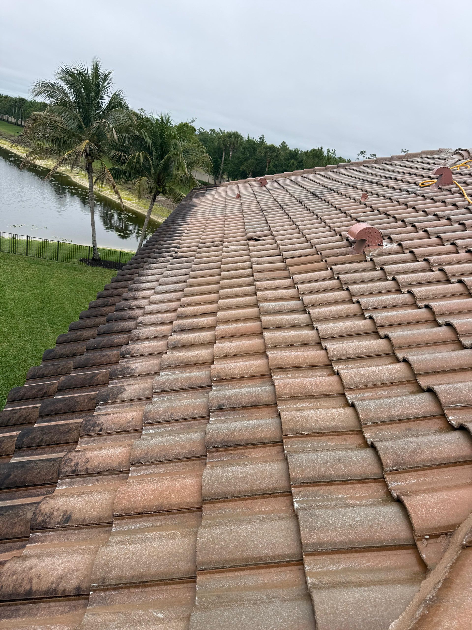 Curved terracotta-tiled roof beside a grassy canal with palm trees under a cloudy sky
