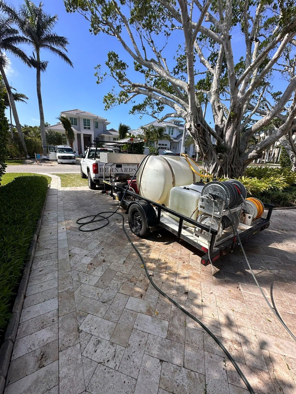 Exterior property maintenance around large tree