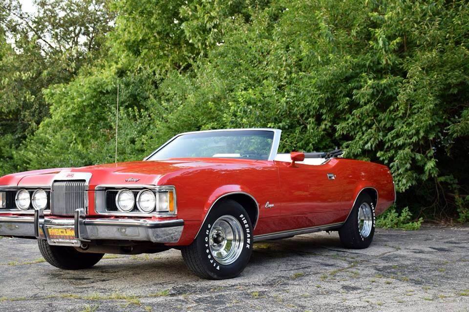 Red Cougar