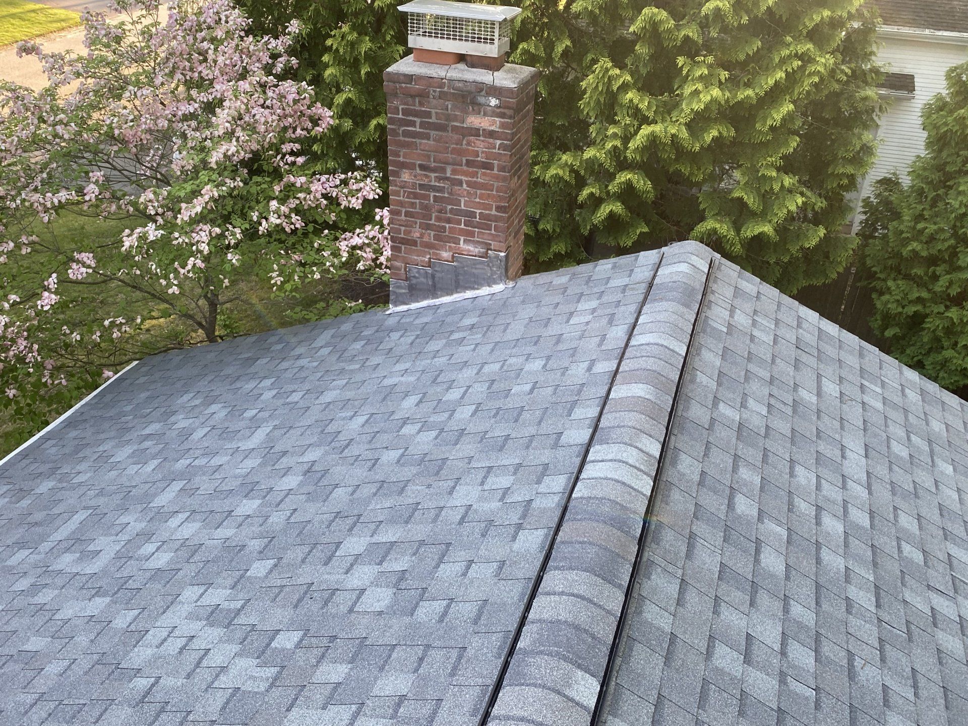 gray roof with cherry blossom tree