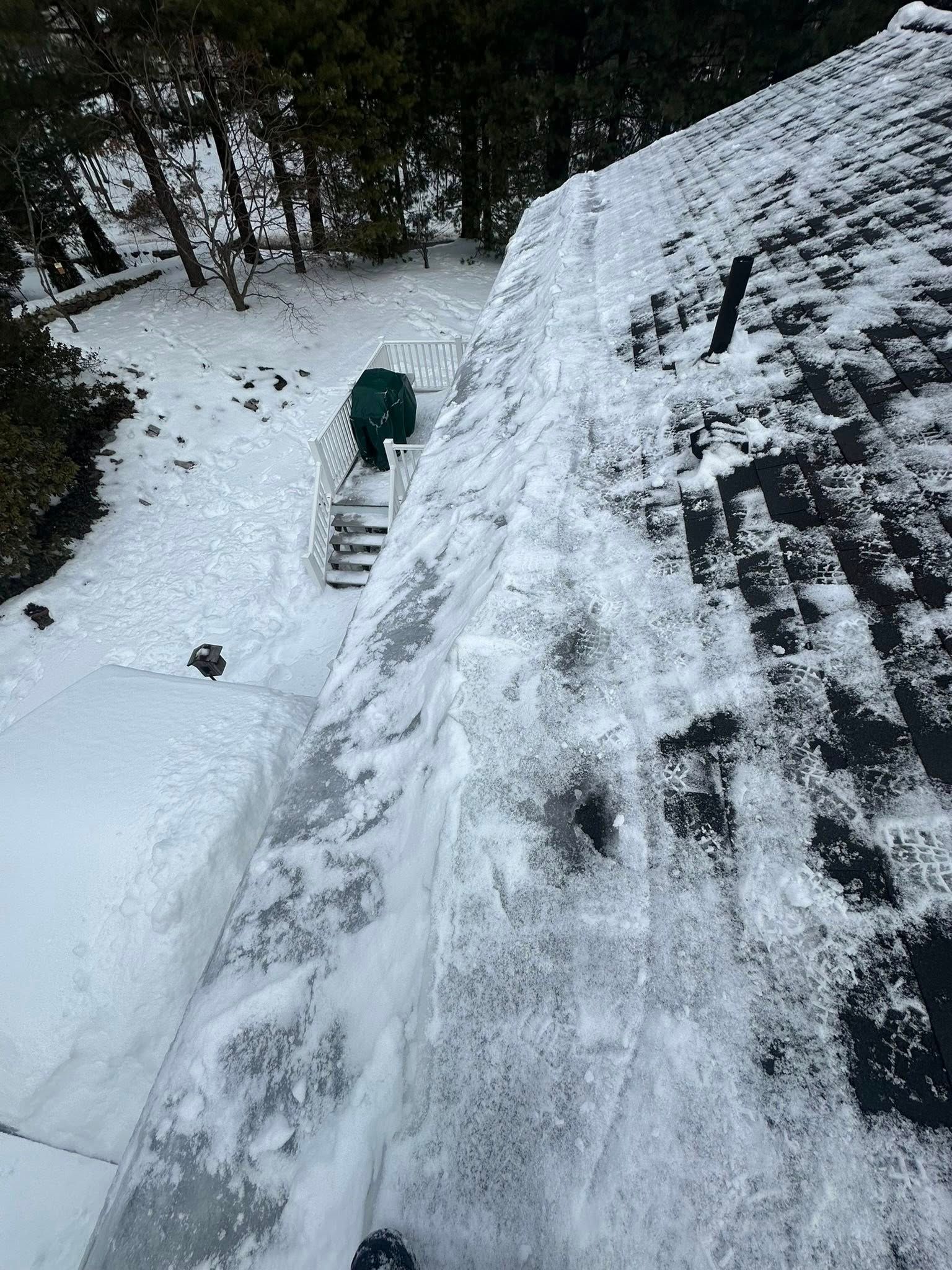 Snow-covered roof with a person on a deck in the background, trees visible beyond.
