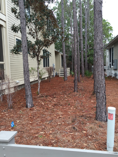 4 Seasons Landscape & Pressure Washing