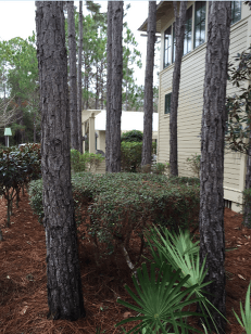 4 Seasons Landscape & Pressure Washing