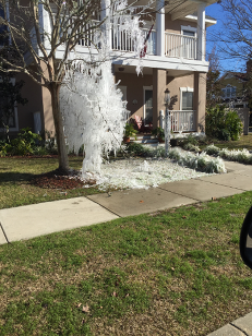 4 Seasons Landscape & Pressure Washing