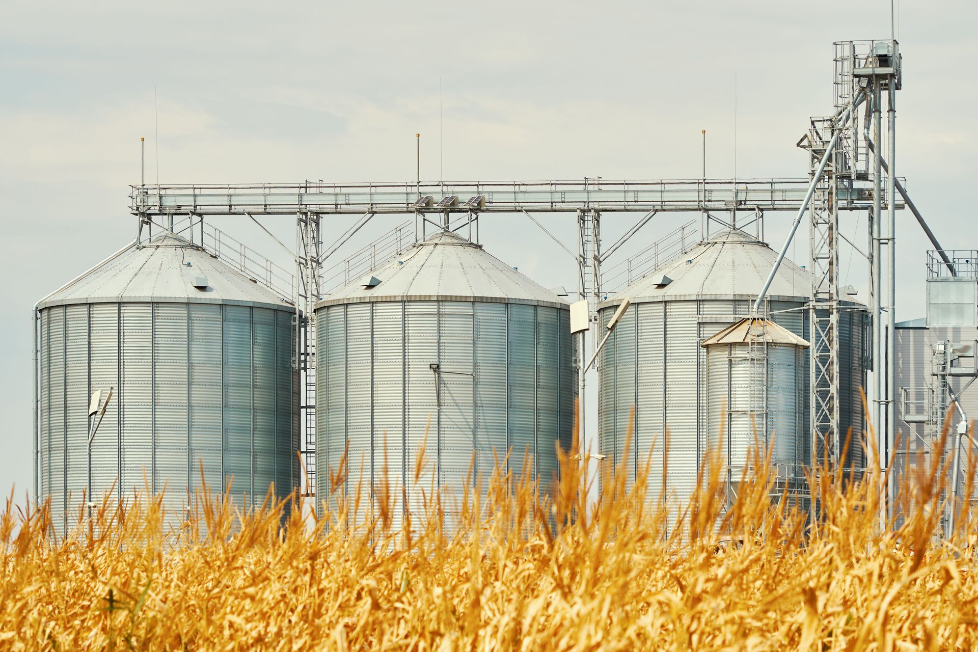 grain bin design