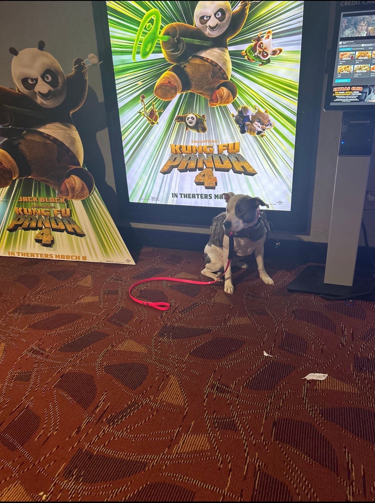 Dog sitting beside Kung Fu Panda arcade game display in an arcade.