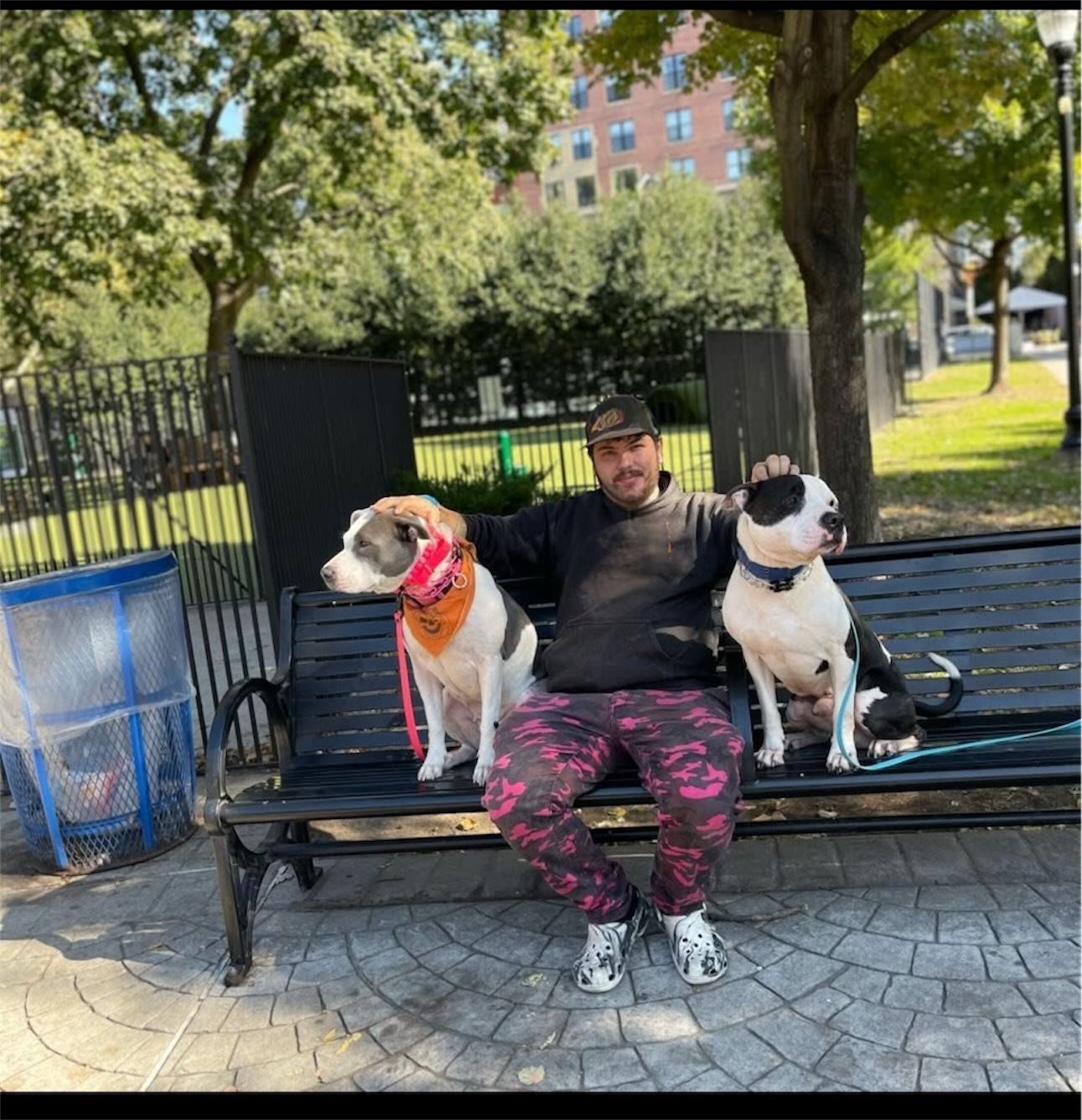 Man sitting on a park bench with two dogs, one in an orange bandana and one black-and-white, under trees.