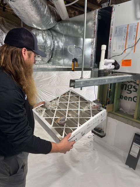 Person holding a dirty air filter near a furnace in a basement.