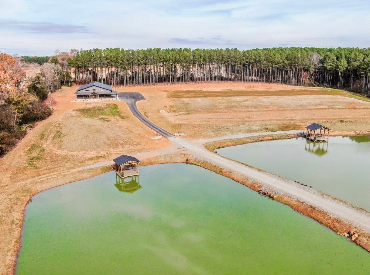 Open field with two ponds, a long driveway to a building, and a line of trees.