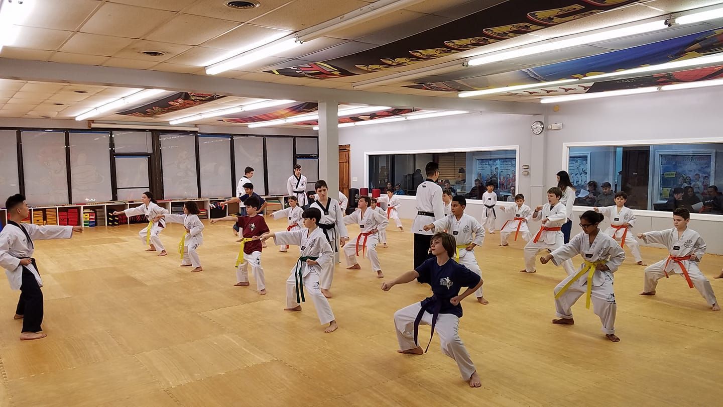 elite-toma-martial-arts-academy