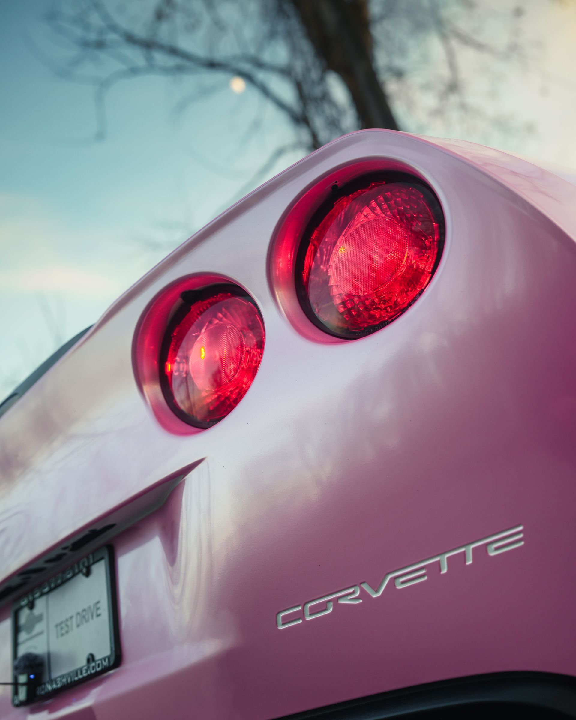 Close-up of the rear taillights and Corvette logo on a pink sports car against a soft-focus sky and tree background.