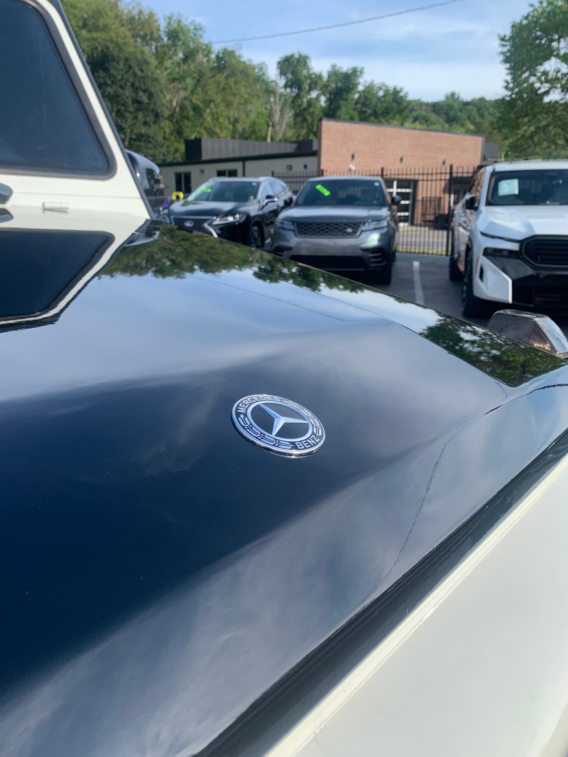 A black Mercedes-Benz hood emblem is centered on a dark, reflective hood with other cars parked in the background.