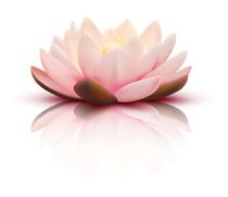 all-care-wellness-lotus-2