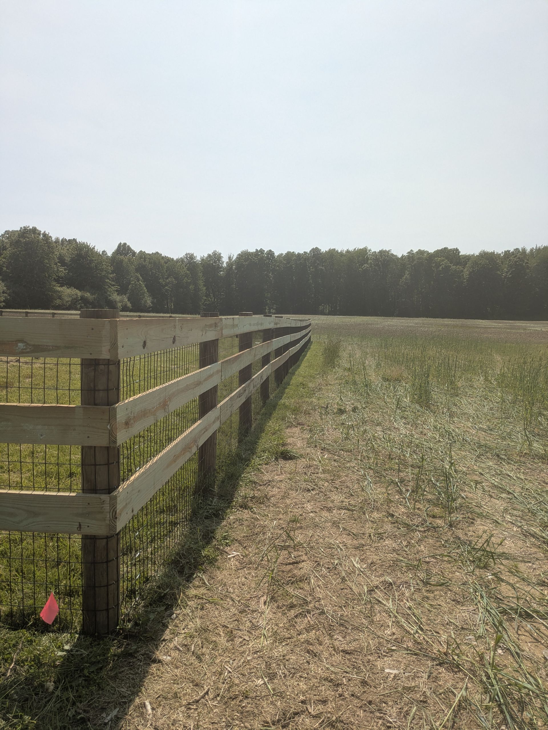 A wooden fence surrounds a grassy field with trees in the background.