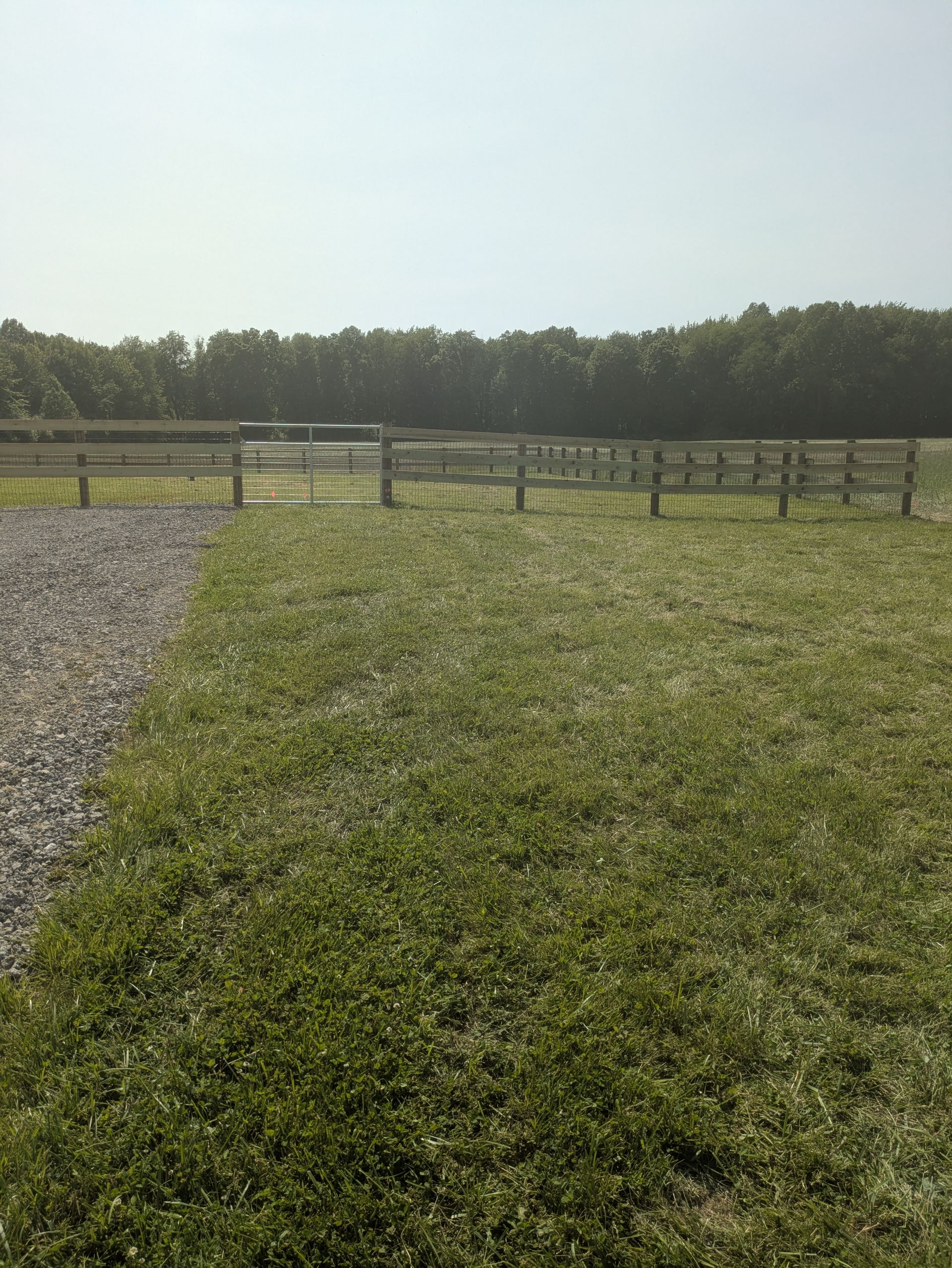 A grassy field with a wooden fence and trees in the background