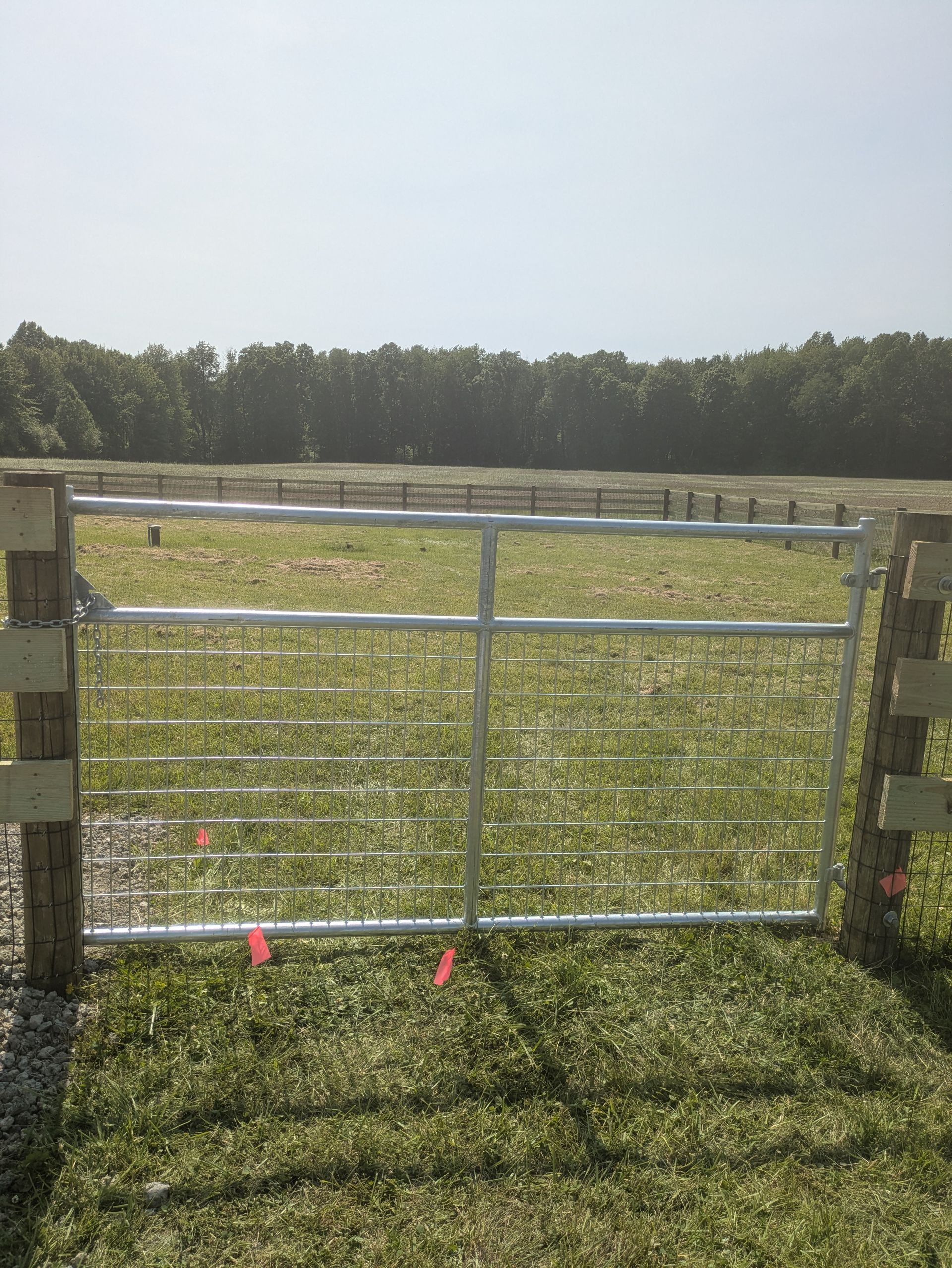 A fence with a gate in the middle of a grassy field