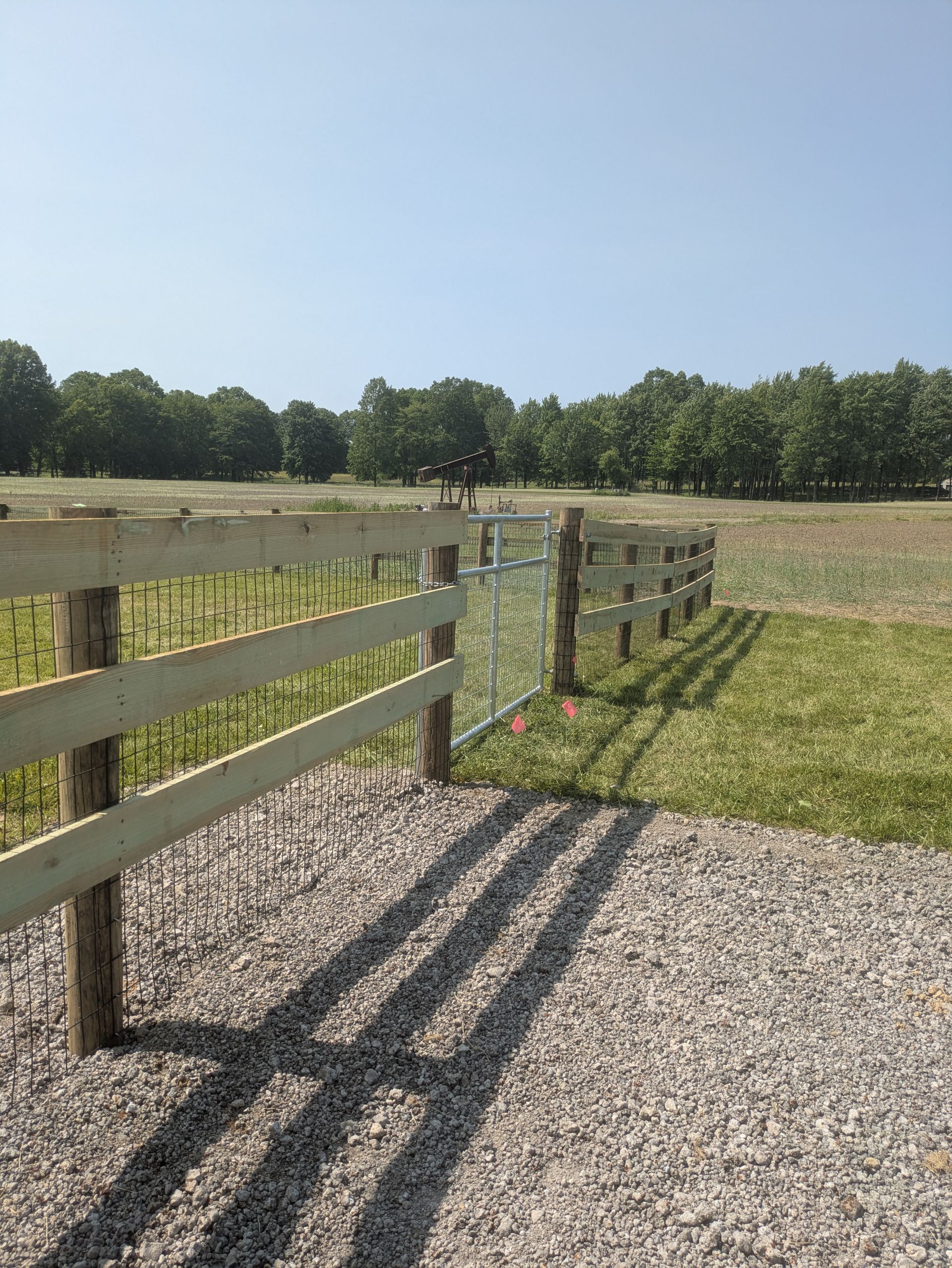 A wooden fence surrounds a grassy field with trees in the background.