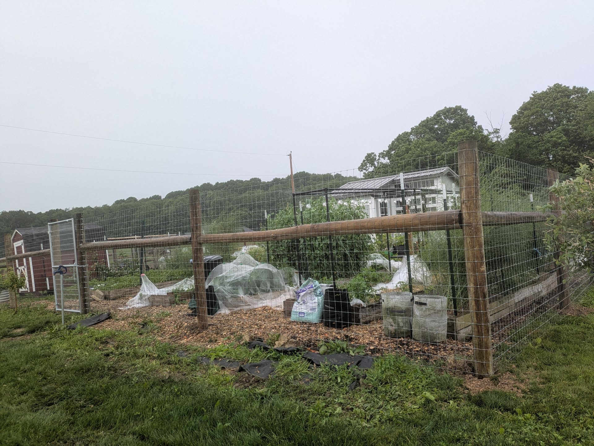 A wooden fence surrounds a garden with a house in the background.