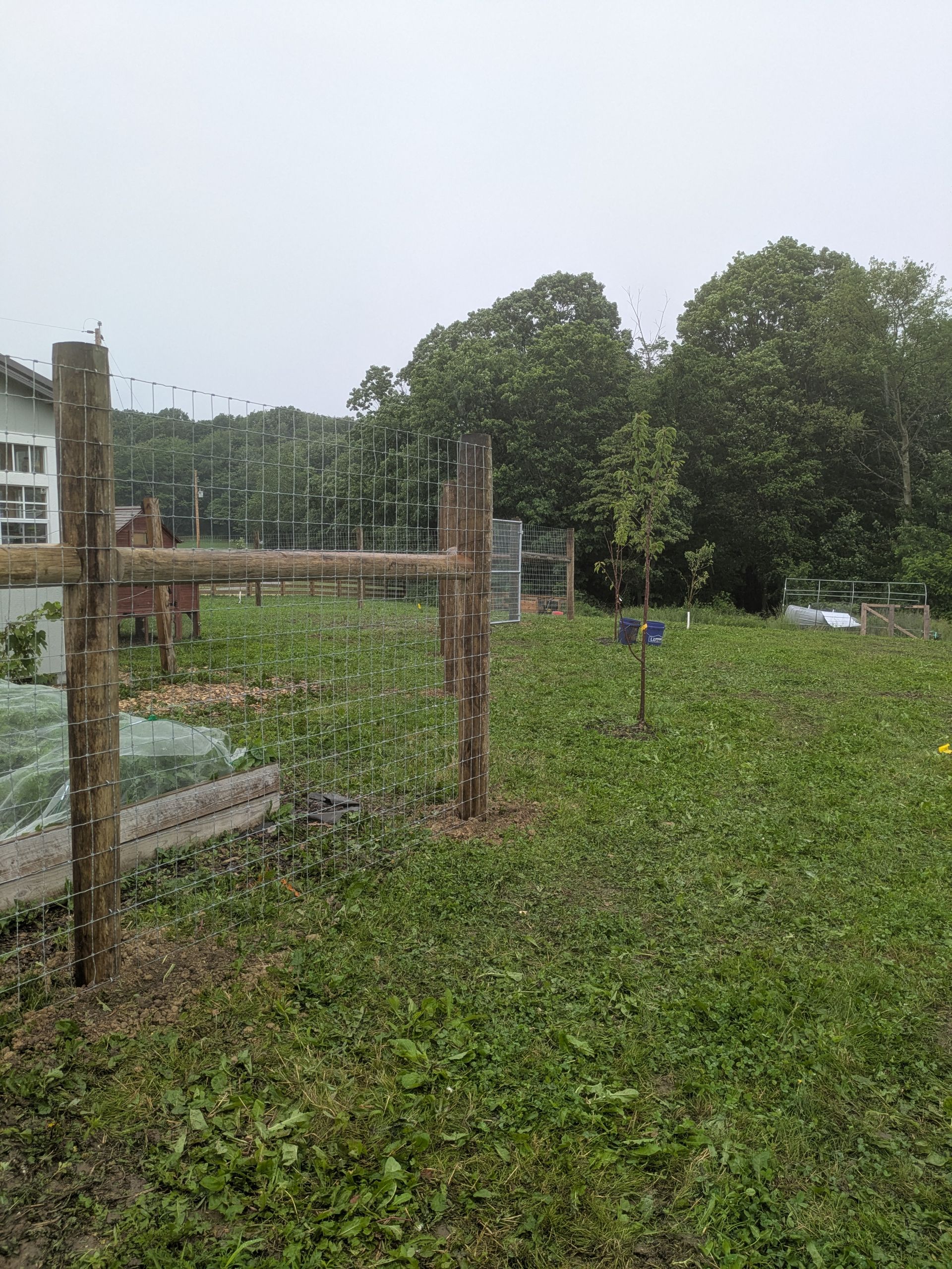A wooden fence is in the middle of a grassy field.
