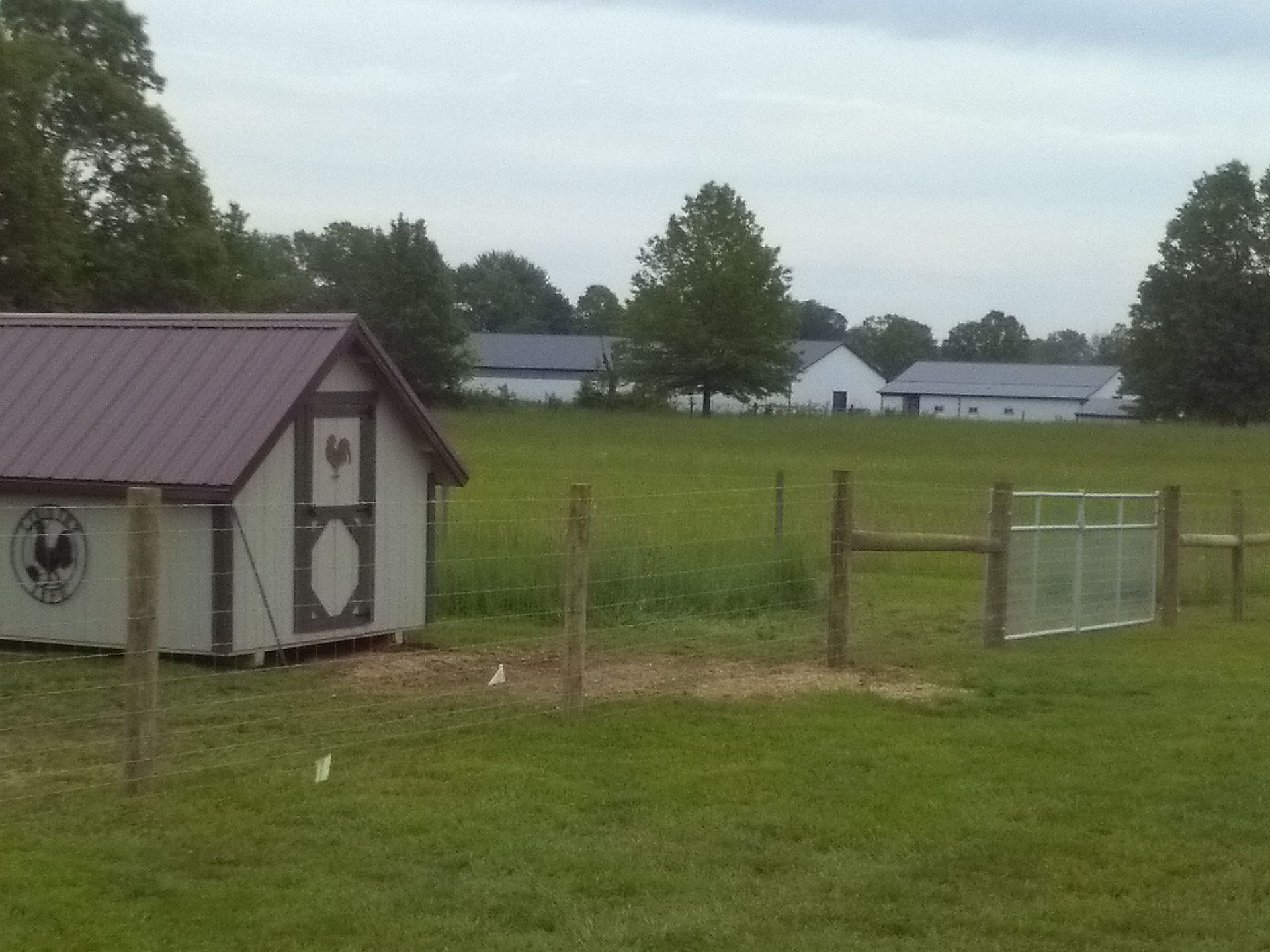 A chicken coop sits in the middle of a grassy field