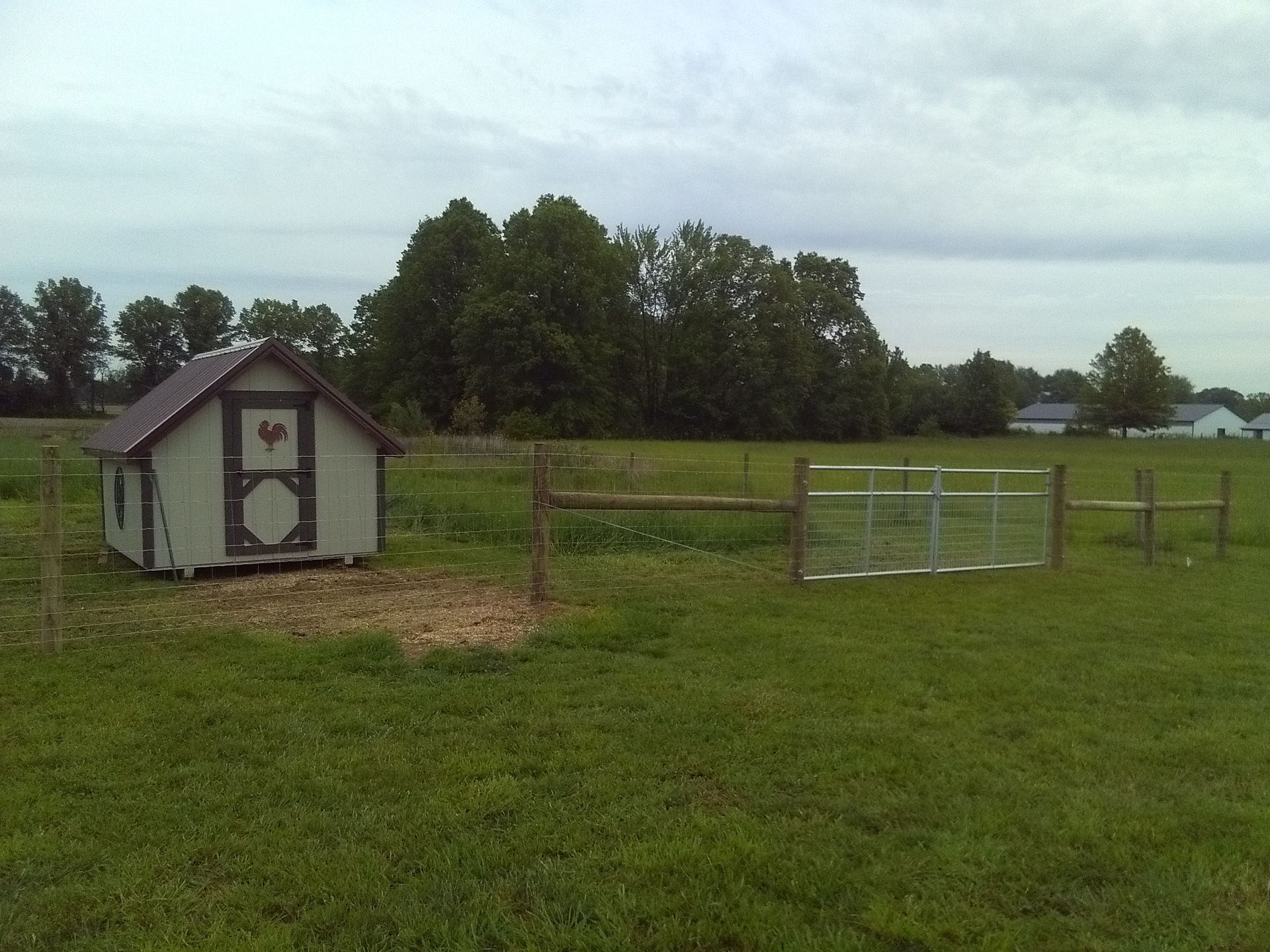 A small chicken coop in the middle of a grassy field